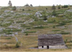 Vran planina Vran planina